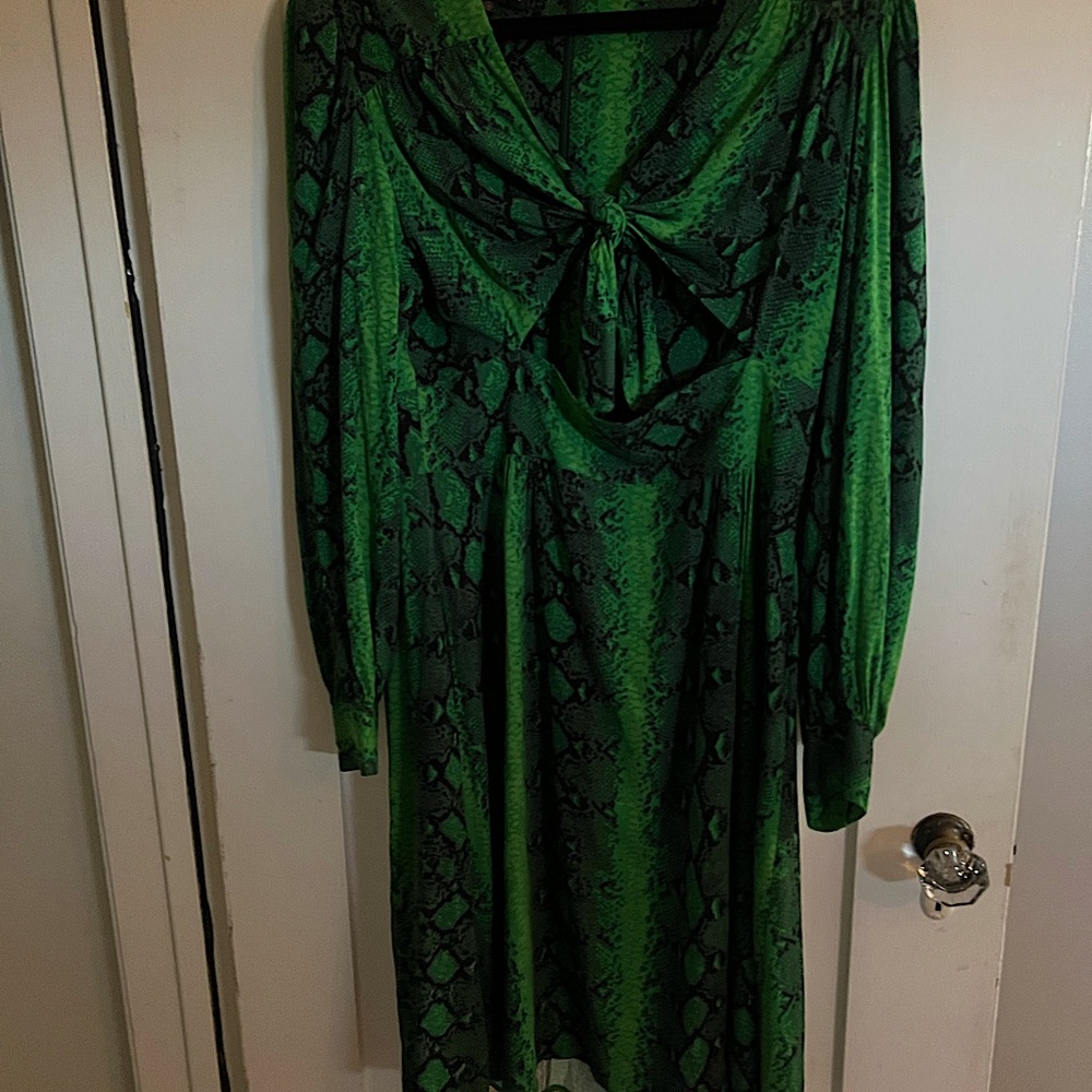 Trashy Diva dress snake print with front cutout and ties worn once